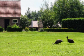  B&B Ruurlo Belle Rose  Руурло